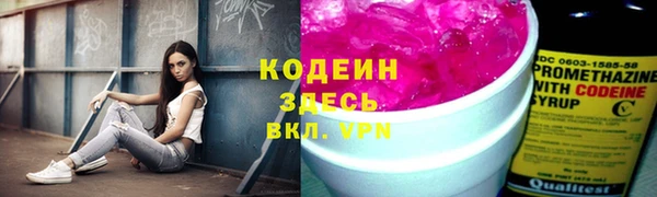 мяу мяу мука Коряжма