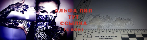тгк Корсаков